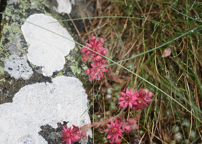 Hinter Dem Rot Stei شاليه