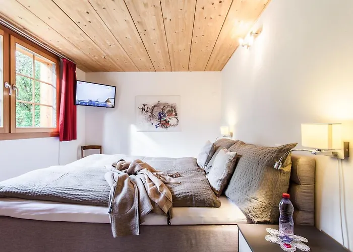 Chalet Hinter Dem Rot Stei